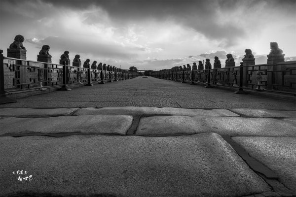 卢沟桥的狮子有多少个