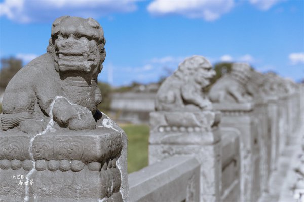 卢沟桥的狮子有多少个