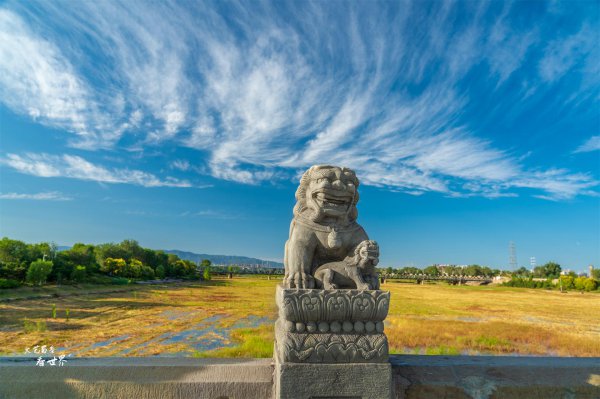 卢沟桥的狮子有多少个