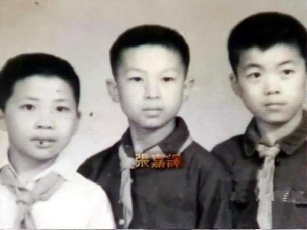 张嘉译个人简介及资料