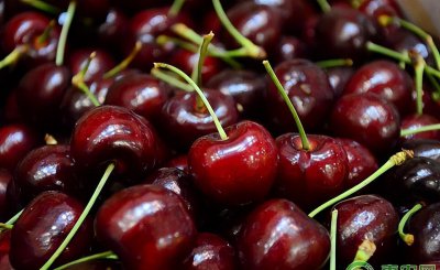 樱桃和车厘子的区别在哪里 车厘子和樱桃是同一种水果吗