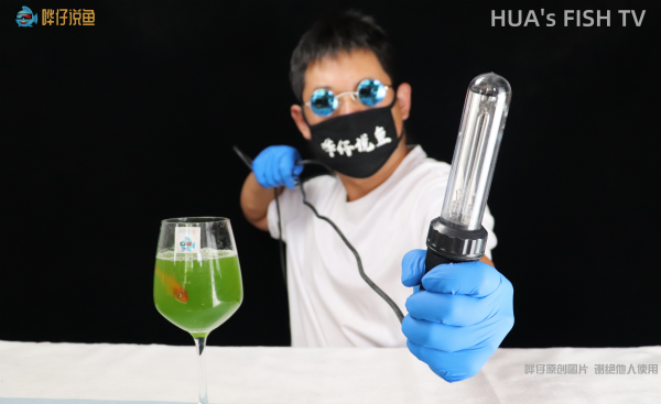 养鱼水变绿色怎么办