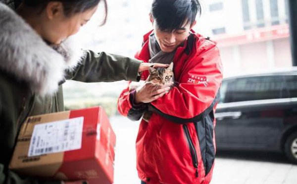 快递没有收到货却已签收怎么回事