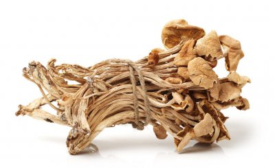 新鲜茶树菇泡多长时间最好 干货茶树菇正确的泡发时间