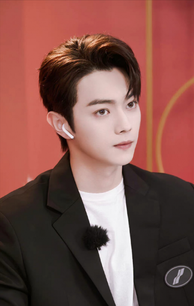 中国帅哥明星都有谁