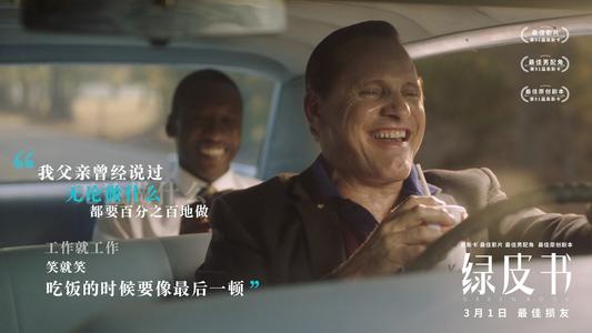 电影绿皮书讲的是什么事情