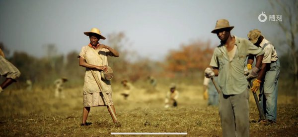 电影绿皮书讲的是什么事情