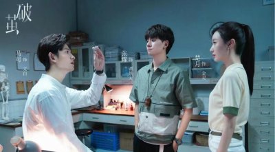 法医秦明类似电视剧 盘点十部口碑好的好看破案悬疑剧