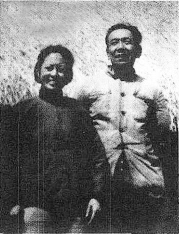 演员陶泽如个人资料简介