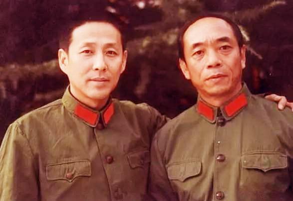 演员陶泽如个人资料简介