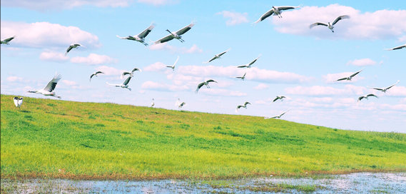 齐齐哈尔有什么好玩的旅游景点