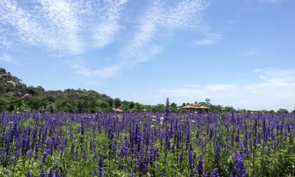 广东汕头旅游必去十大景点