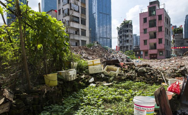 广州冼村的人为什么这么有钱