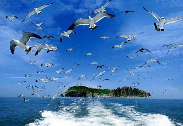 威海有哪些大学