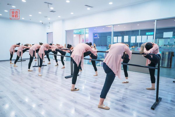 中国舞考到十级能干嘛