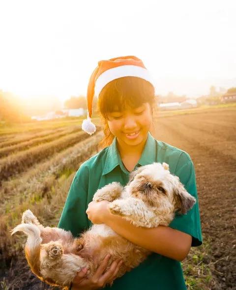 怎么骂人不带脏字而且让人哑口无言