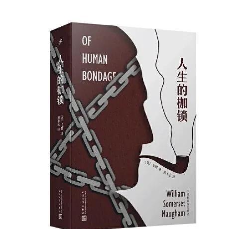 董卿推荐女人必看的三本书