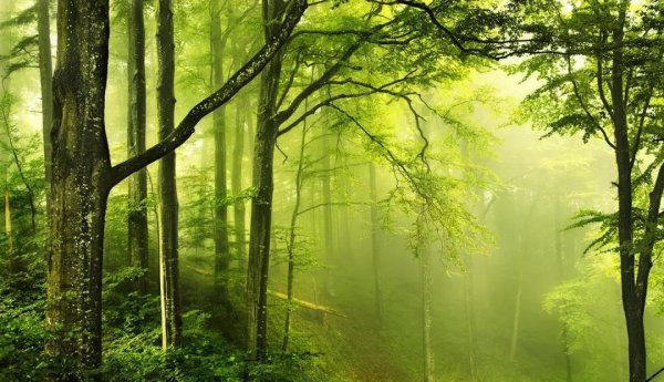 十首最唯美的箫曲介绍