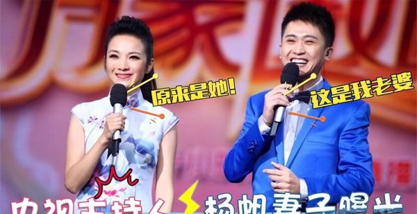 杨帆的妻子简历介绍