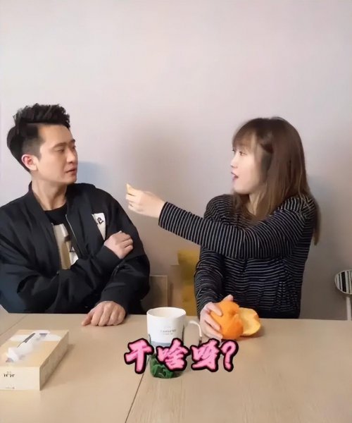 杨帆的妻子简历介绍