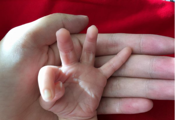 张嘉倪老公买超家庭背景介绍