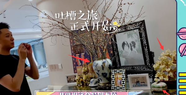 张嘉倪老公买超家庭背景介绍