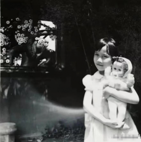 温峥嵘个人资料简介