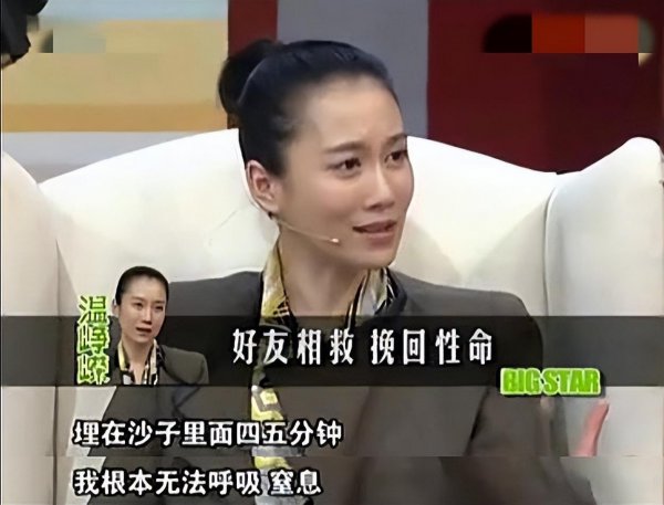 温峥嵘个人资料简介