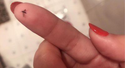 卫生间的小飞虫怎么彻底消灭 厕所小飞虫的根治方法