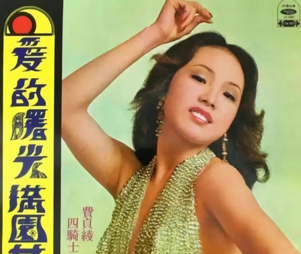 费玉清和张菲是什么关系