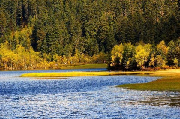 初次出国签证怎么办理