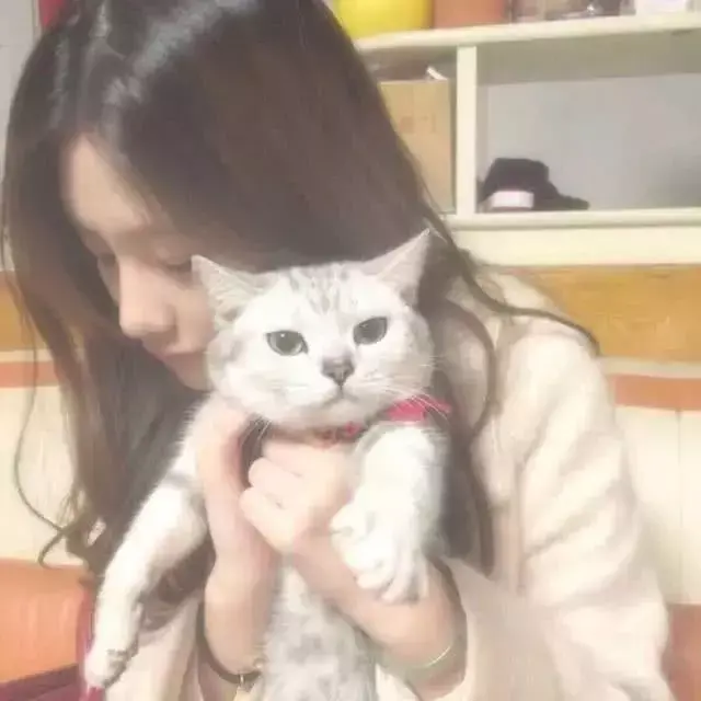 最能打动女人心的暖心情话