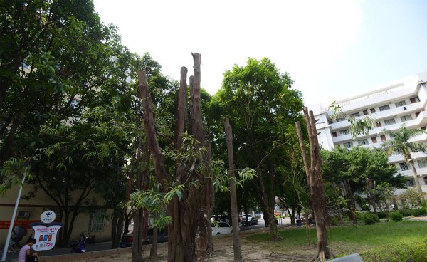 南宁师范大学是一本还是二本