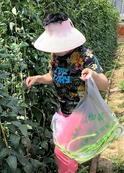 邓亚萍真正身高