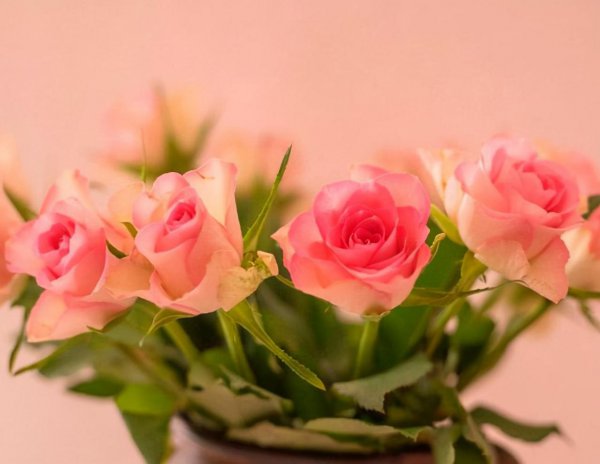 感情受伤的句子说说心情