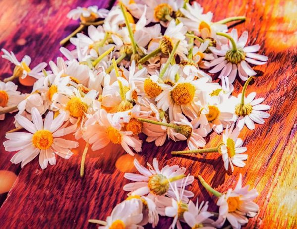 感情受伤的句子说说心情