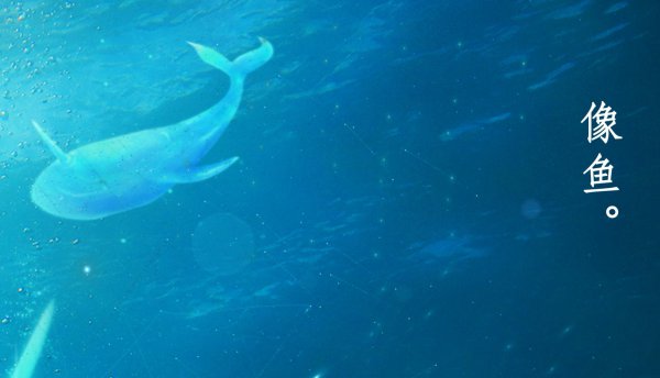 王贰浪个人资料简介