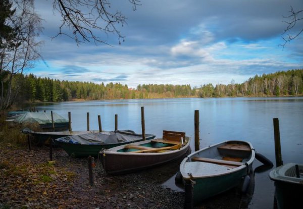 十招教你撩双鱼男