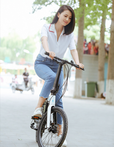 张亚东个人资料简介