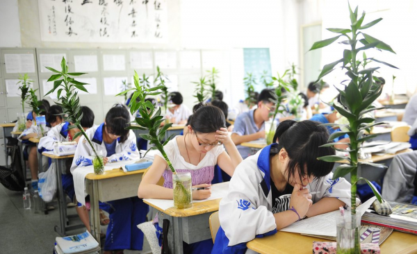 何碧玉现在的情况怎么样