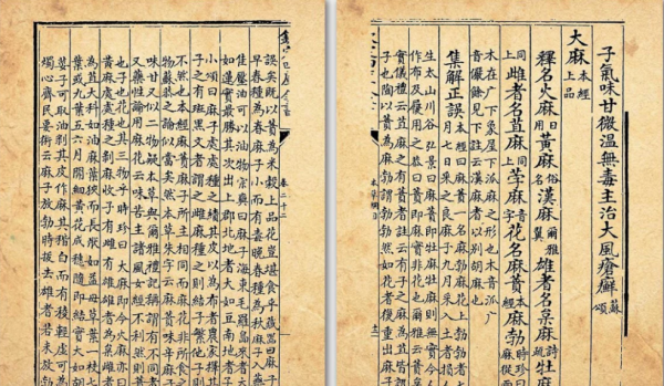 cbd是什么意思全称