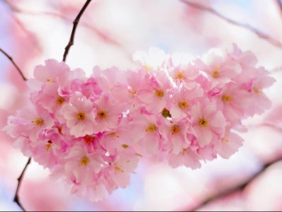 守活寡的滋味实在是太苦了 守活寡是什么感受有多痛苦