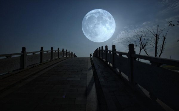 李煜最深情的一首相思词是什么