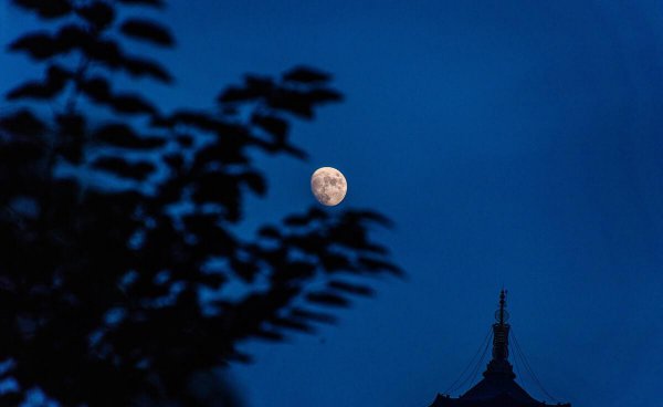 李煜最深情的一首相思词是什么