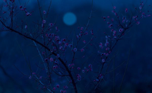 李煜最深情的一首相思词是什么