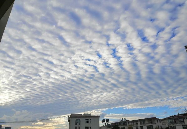 地震云长什么样子图片