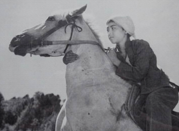 红色文化电影推荐