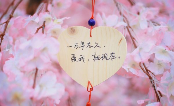 金牛座喜欢什么样的女生