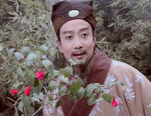 红楼梦甄士隐人物分析