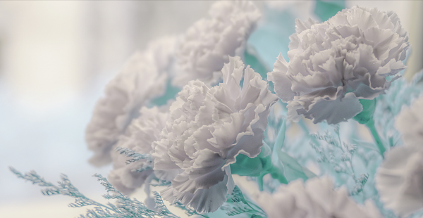 扫墓用什么花合适